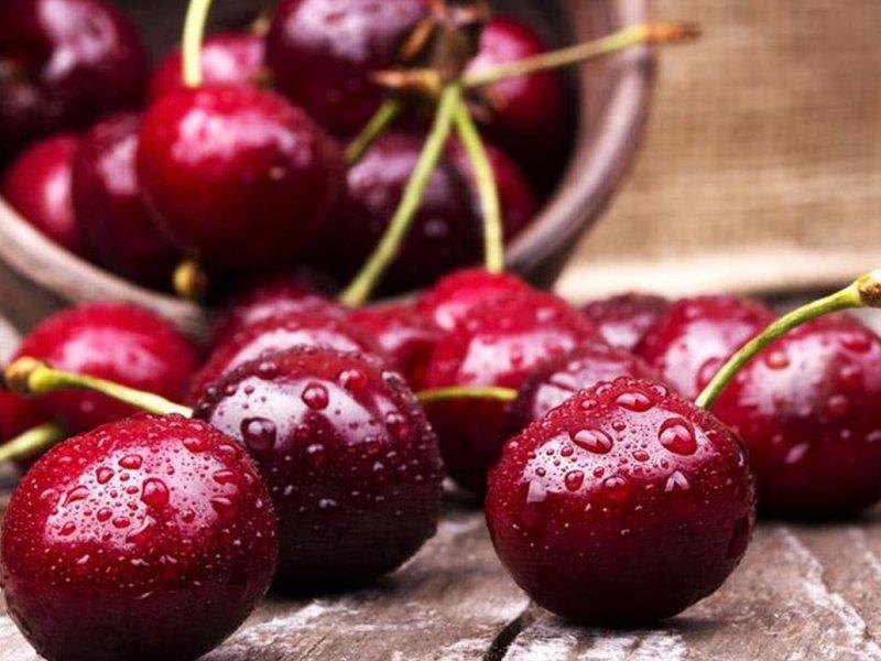 Вишня купить саженцы из питомника в Энгельсе